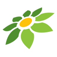 LINK MPOKING